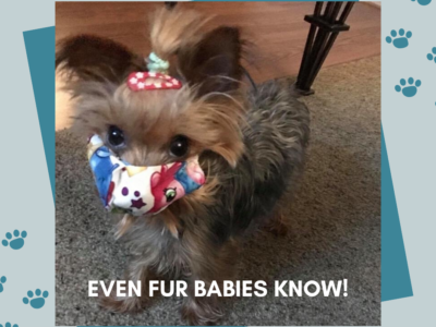 Even Fur Babies Know CDC Precautions!